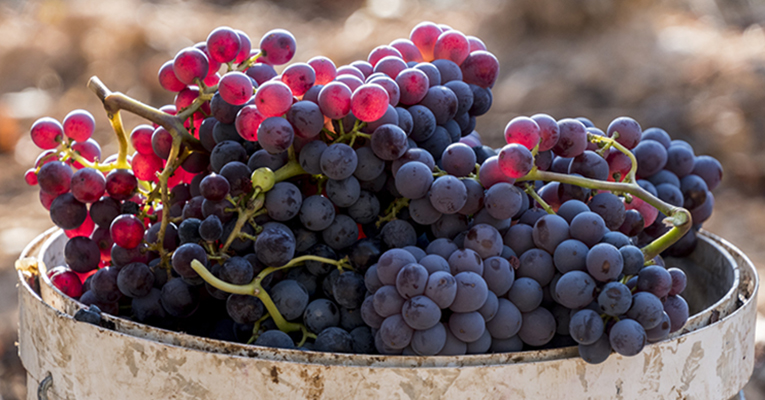 acuerdos comerciales vinos España
