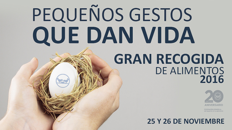 gran-recogida-fesbal