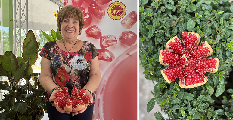 Vicentina Navarro, la que mejor pela y cultiva la Granada Mollar de Elche