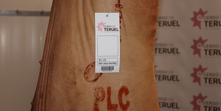 La  IGP Cerdo de Teruel da sus primeros pasos con el marcaje de la primera canal