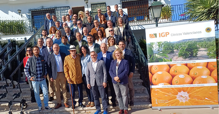 IGP Cítricos valencianos