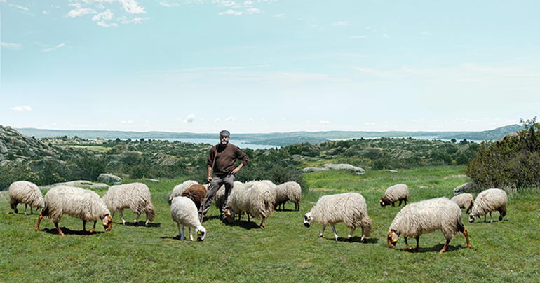 Interovic busca pastores para su nueva campaña en redes sociales