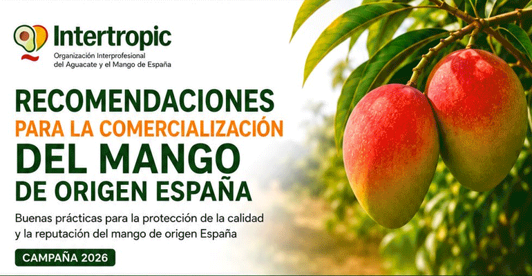 Recomendaciones de Intertropic para la comercialización del Mango de Origen España – Campaña 2026