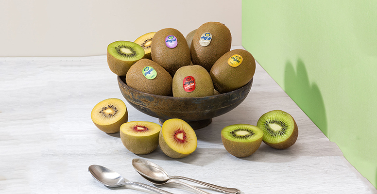 kiwis Jingold