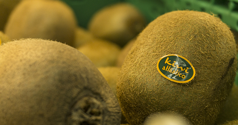 kiwi-atlantico-fruit-attraction