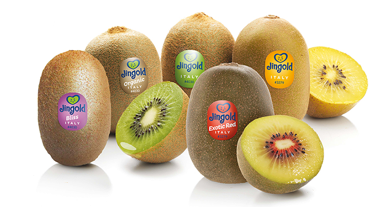 La italiana Kiwi Jingold busca afianzarse en España en su 20 aniversario