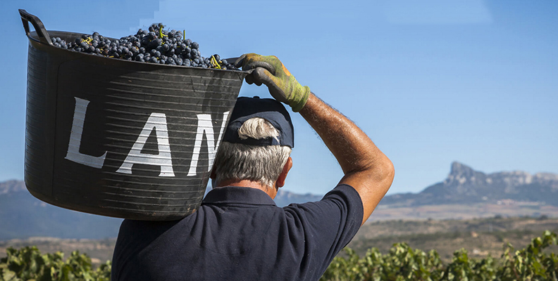 las-bodega-estrategia-sostenibilidad-vinos-rioja-viticultura