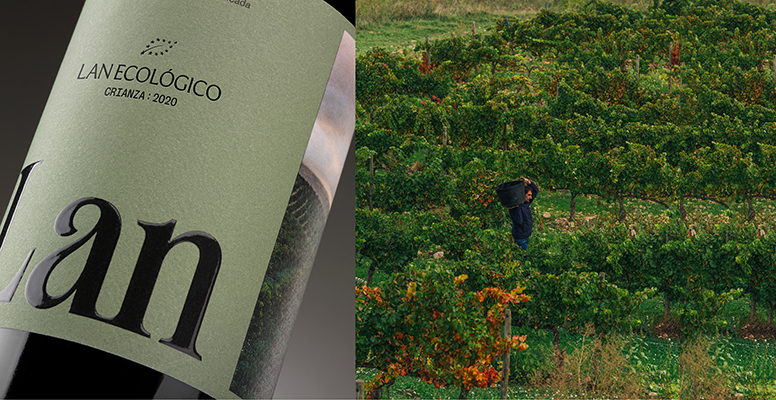 Lan ecológico crianza 