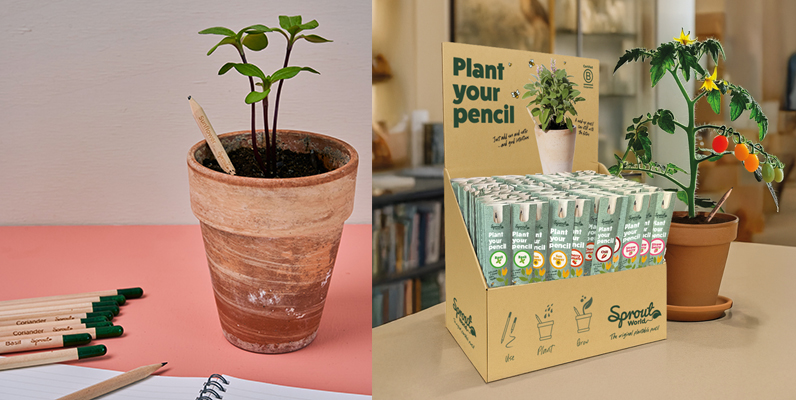 lápices que se plantan 