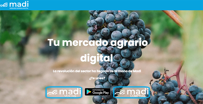 madi-plataforma-comercializadora-digital-alimentos