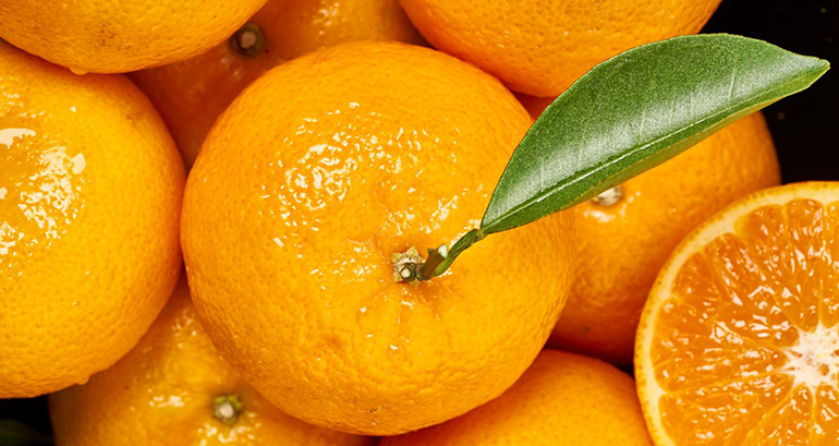 mandarina-orri-premium-fruterias-temporada