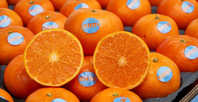 Las mandarinas de la variedad ORRi prevén un 30% más de producción, alcanzando su máximo histórico