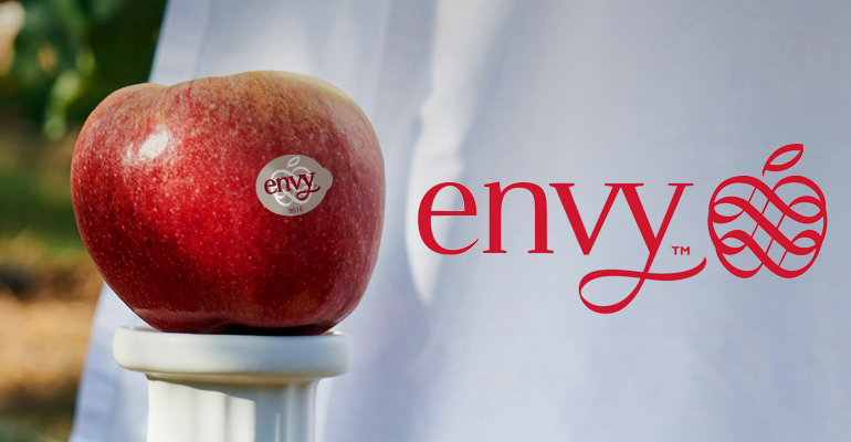 Las manzanas envy destacan por ser rojas, sabrosas y crujientes