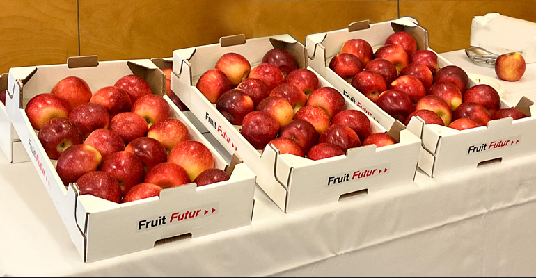 FruitFutur presenta FujiFutur, nueva variedad de manzanas de Girona