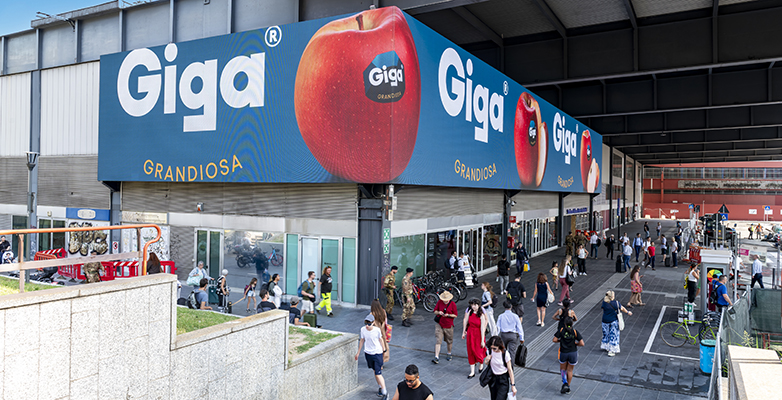 manzanas Giga mercados Madrid Consorcio VOG