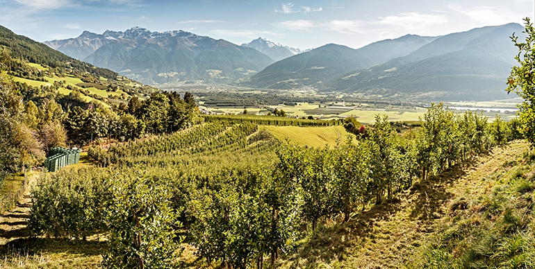 manzanas-val-venosta-alpes-italianos-tirol