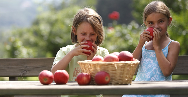 manzanas-valvenosta-frutas-infancia