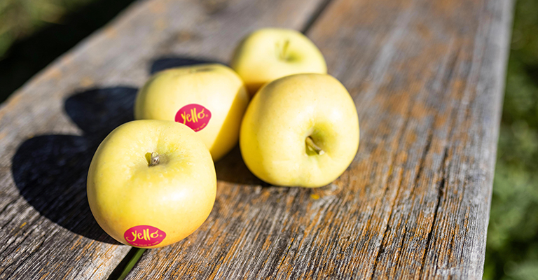 La manzana yello regresa a los lineales para reforzar el segmento premium