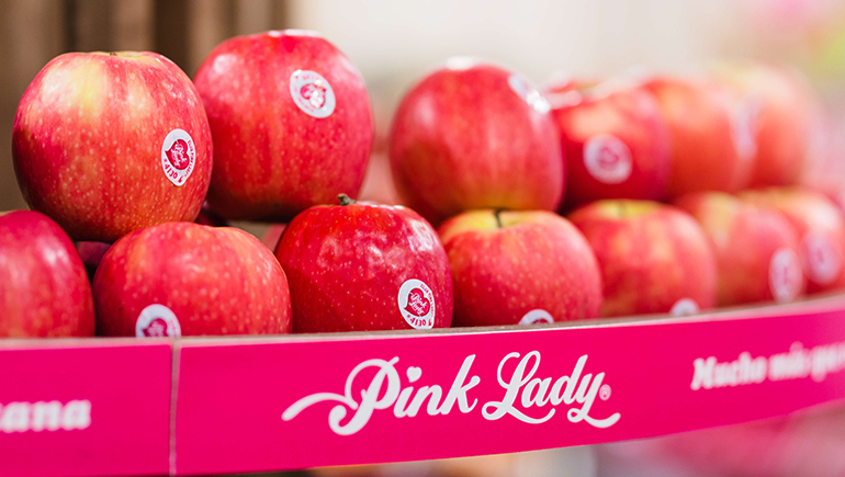 manzanas-pink-lady-fruterias-cosecha-lleida-girona