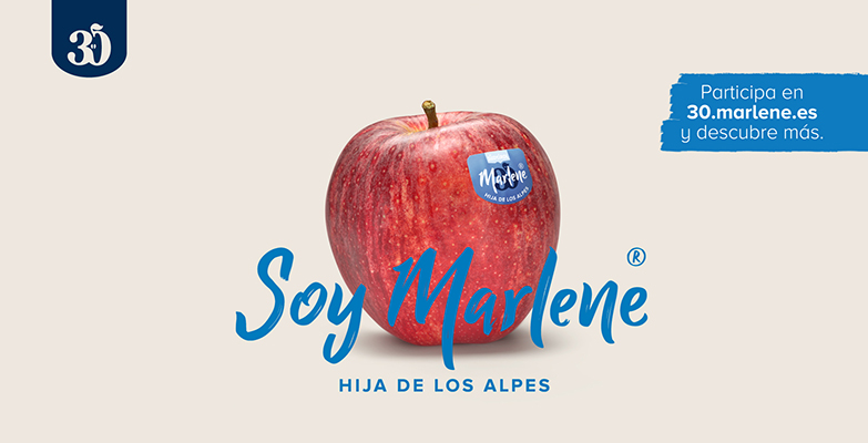 concurso Marlene