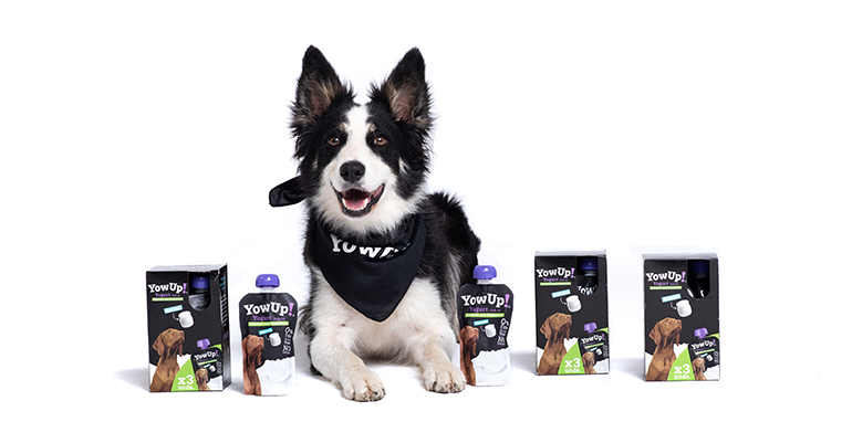 YowUp, llega el primer yogur con prebióticos ideados para perros y gatos