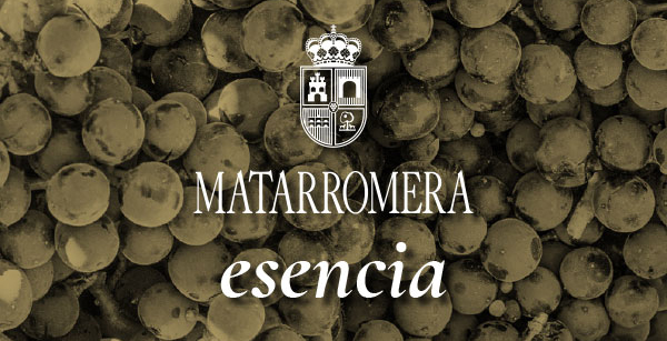 matarromera-esencia-proyecto-retailactual