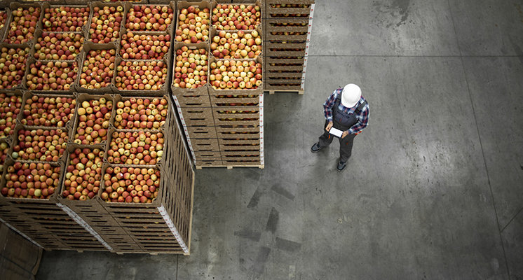 mayoristas alimentación