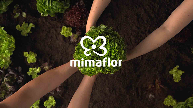 mimaflor-productos-primaflor-ensaladas-platos-verduras-nuevo-nombre