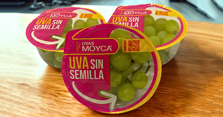 uvas Moyca