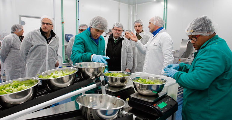 lantegi-batuak-naia-verduras