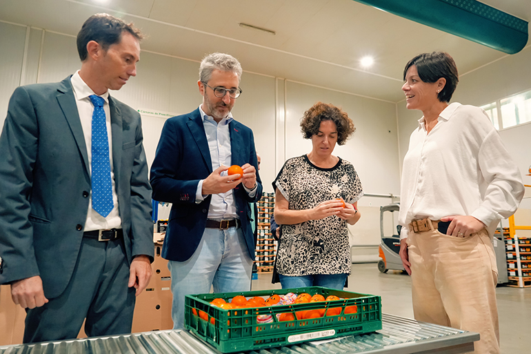 Naranjas Torres, primera empresa en obtener crédito de Generalitat para competitividad