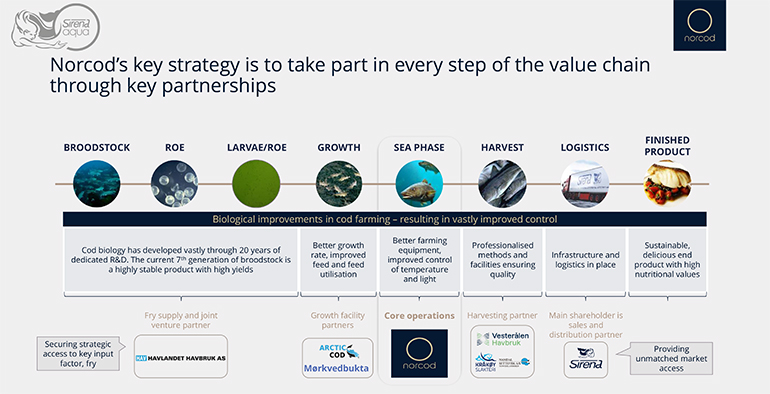 Norcod es pionero en el bacalao noruego de acuicultura