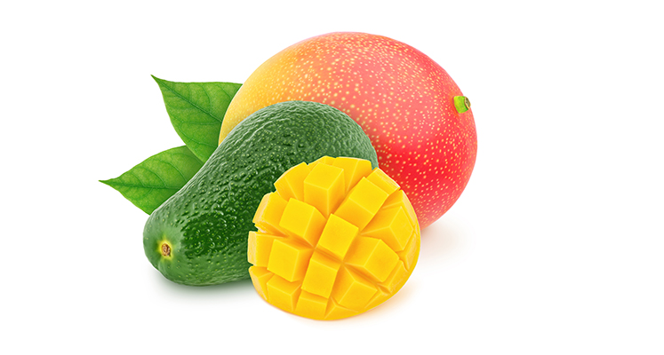 Aprobada la extensión de norma que potenciará el sector del aguacate y el mango en España