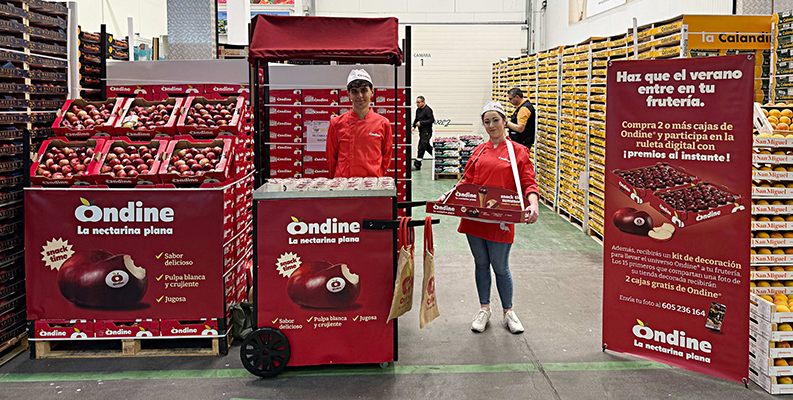 Las nectarinas Ondine aterrizan con una campaña promocional en MercaMadrid
