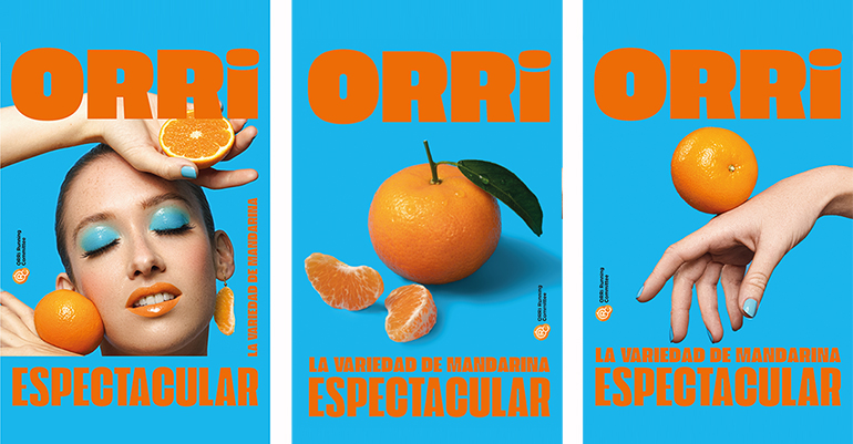 orri-imagen-naranjas-mandarinas-premium