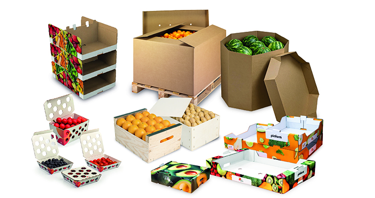 DS Smith envases frutas y verduras