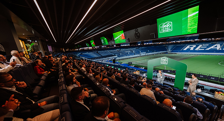 Bernabéu palco VOG