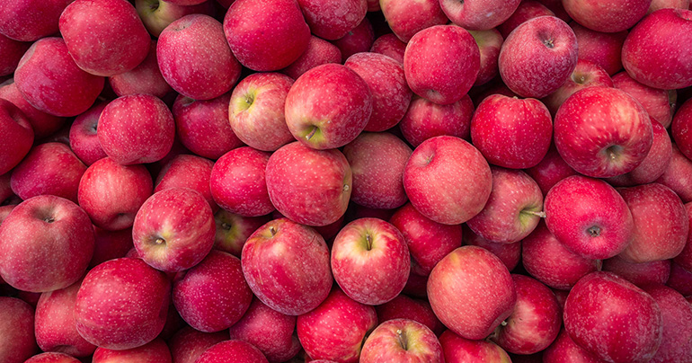 Manzanas Pink Lady: potente color y un sabor dulce más intenso que el año pasado