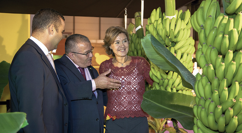 platano-canarias-fruit-attraction