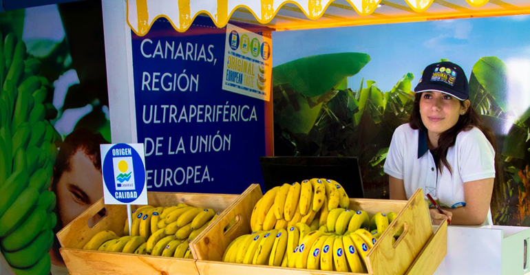 platano-canarias-consumo-produccion