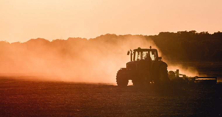 La Política Agraria Común (PAC), garante de la seguridad alimentaria europea