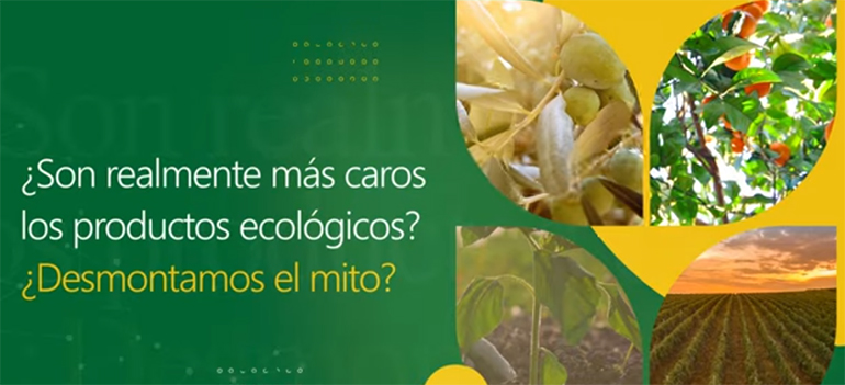 ¿Son los productos ecológicos más caros? Desmontando bulos con datos 