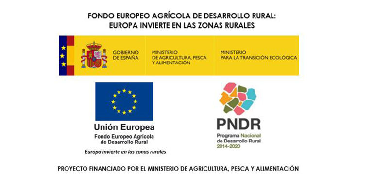 desnfeccion-frutas-verduras-seguridad-proyecto-UE