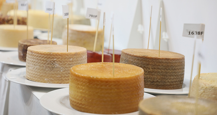 Los mejores quesos de España: aquí tienes los ganadores de GourmetQuesos 2026