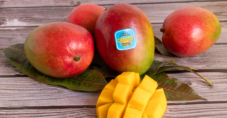 Buenas previsiones para el mango español de las variedades Osteen, Kent y Keltt