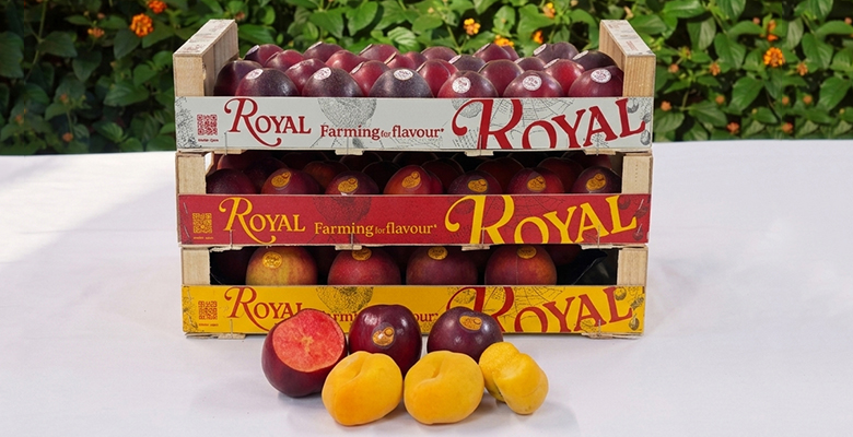 Royal fruta hueso