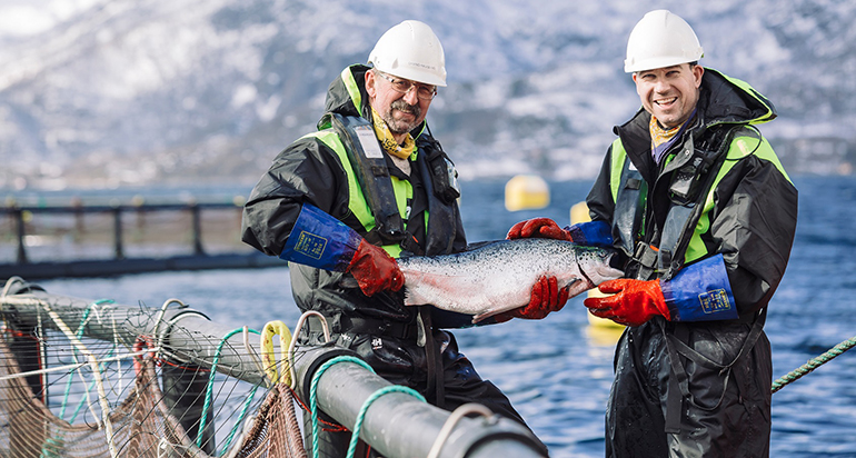 Acuicultura noruega encabeza la producción de proteína animal sostenible