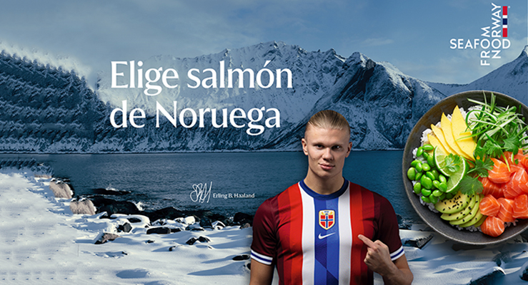 Haaland Noruega