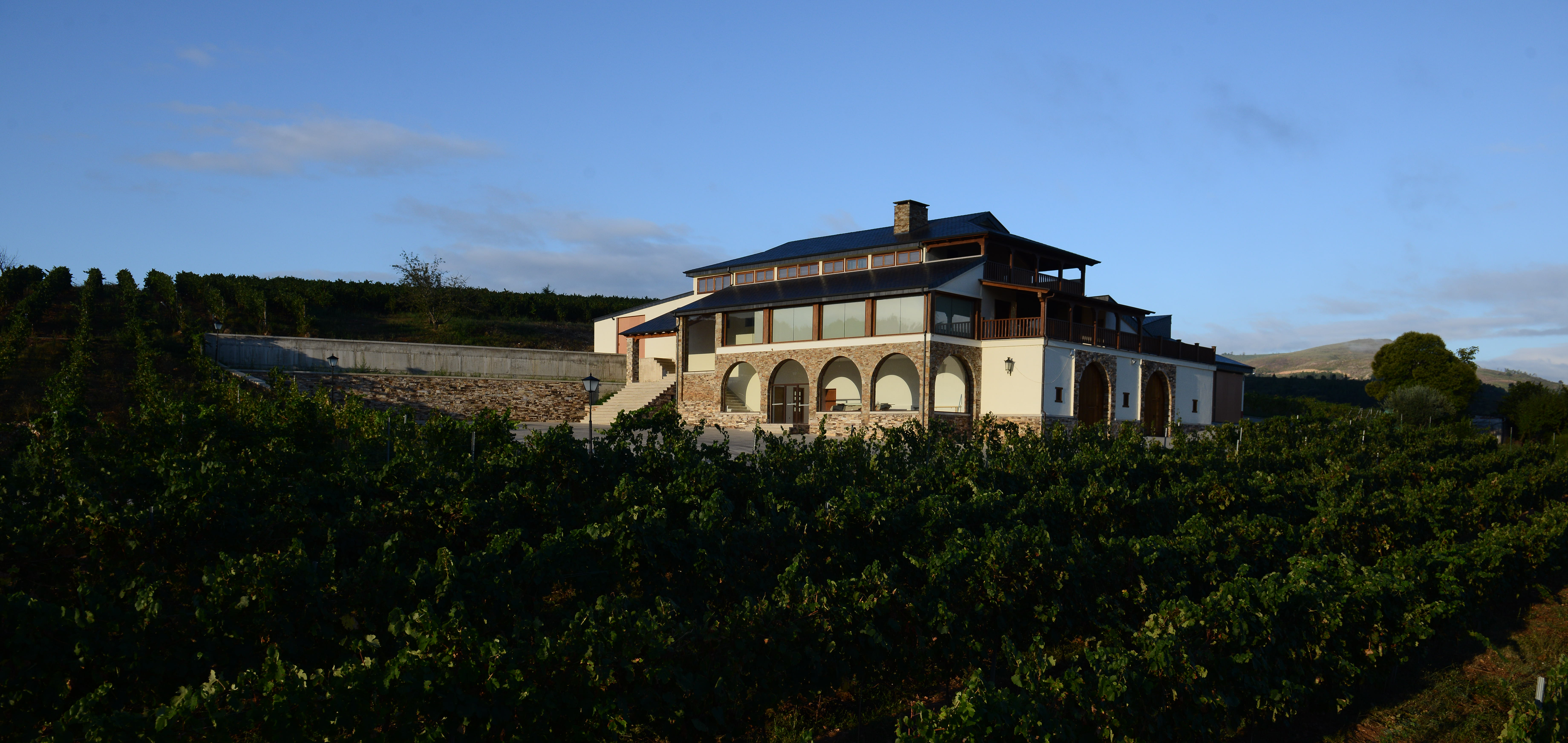 Bodega Terriña (Méndez Rojo Grupo Bodegeuero) ha logrado un indicardor Ardán