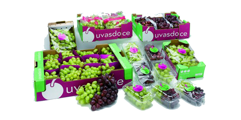 UvasDoce_FRuit